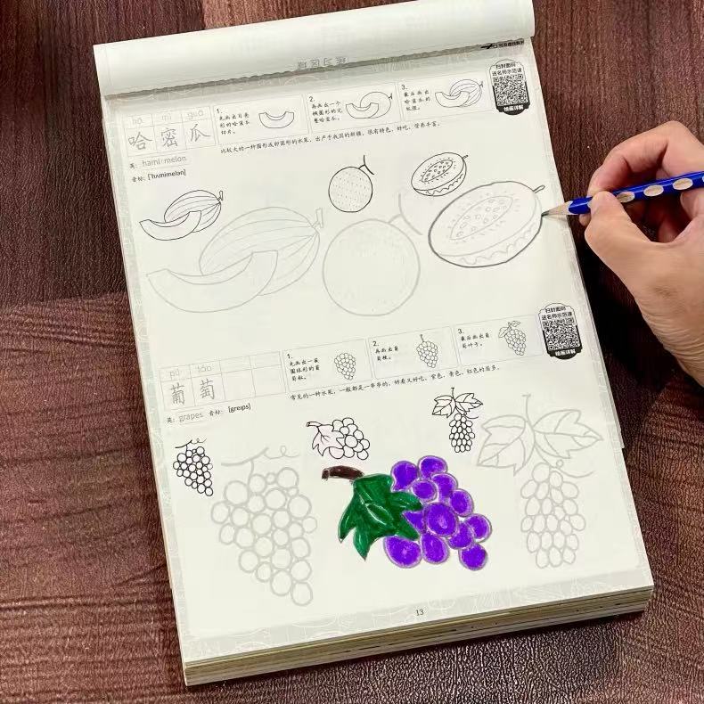 كتاب رسم وتتبع الأشكال الغذائي - مراجعة Food Snacks Drawing وسعره